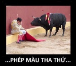 Phep mau cua su tha thu1